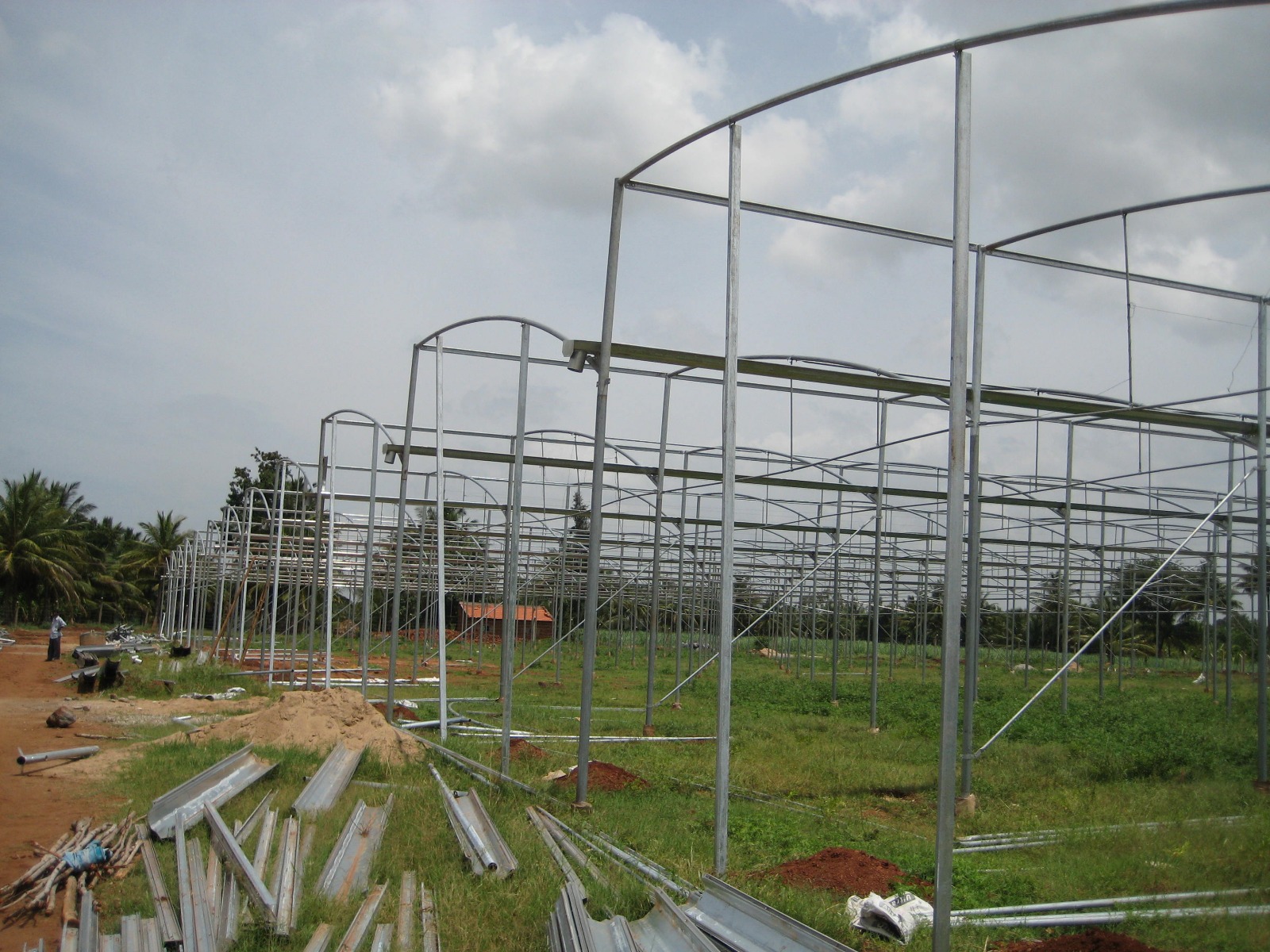 Greenhouse Project 26